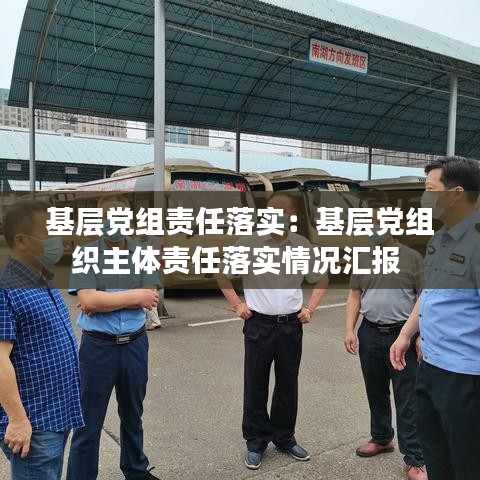 基层党组责任落实：基层党组织主体责任落实情况汇报 