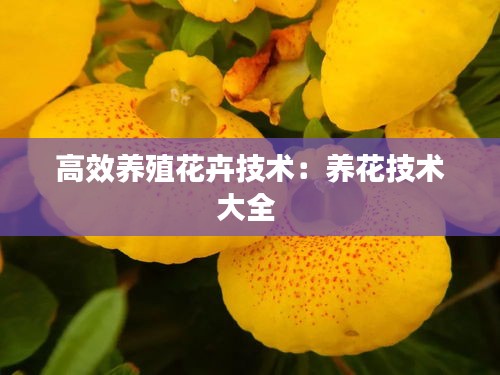 眉开眼笑 第2页