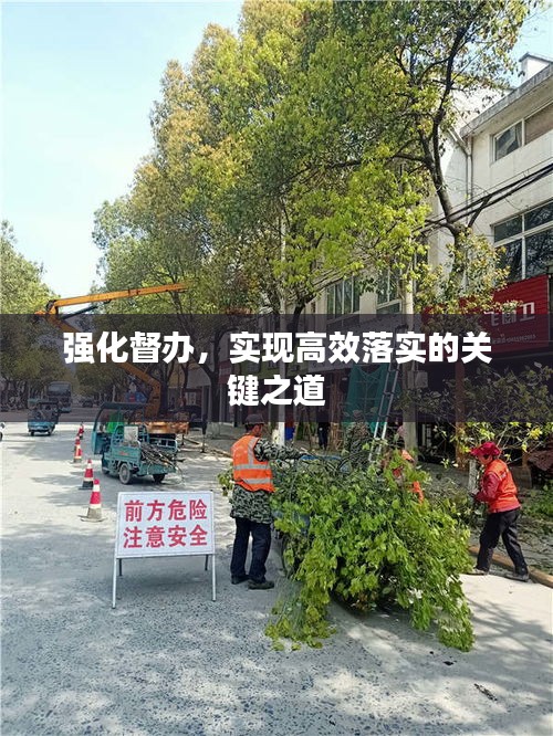 强化督办，实现高效落实的关键之道