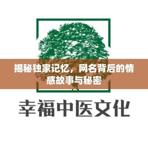 揭秘独家记忆，网名背后的情感故事与秘密