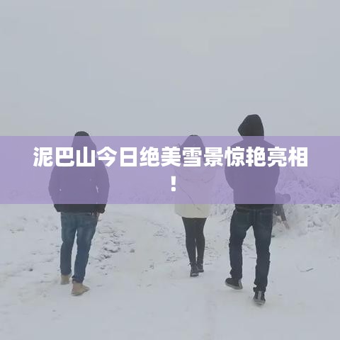 泥巴山今日绝美雪景惊艳亮相！