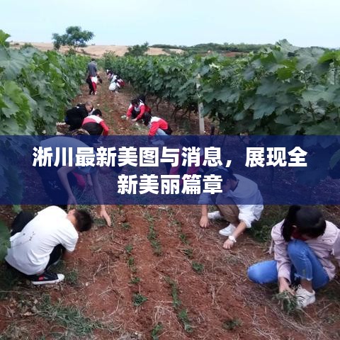 淅川最新美图与消息，展现全新美丽篇章