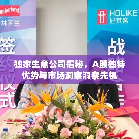 独家生意公司揭秘，A股独特优势与市场洞察洞察先机