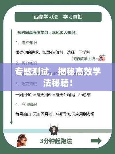 专题测试，揭秘高效学法秘籍！