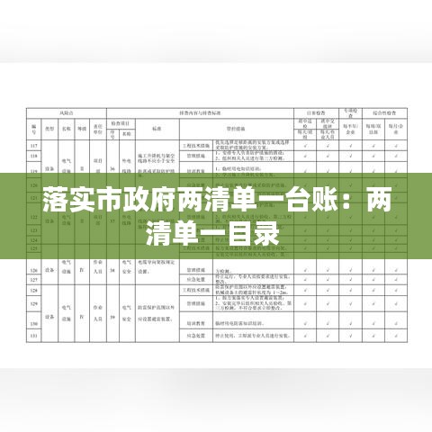 落实市政府两清单一台账：两清单一目录 