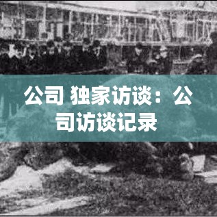公司 独家访谈：公司访谈记录 