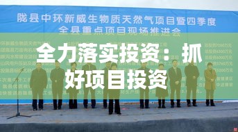 全力落实投资：抓好项目投资 