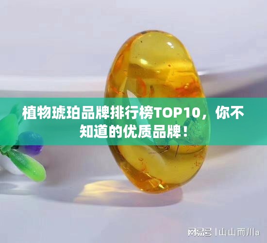 植物琥珀品牌排行榜TOP10，你不知道的优质品牌！