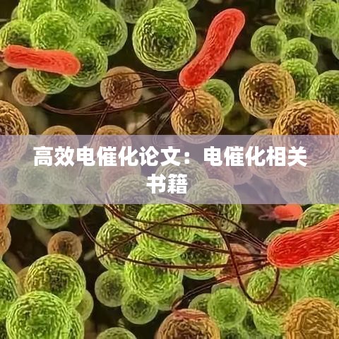 高效电催化论文：电催化相关书籍 