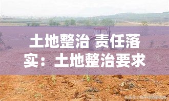 土地整治 责任落实：土地整治要求 