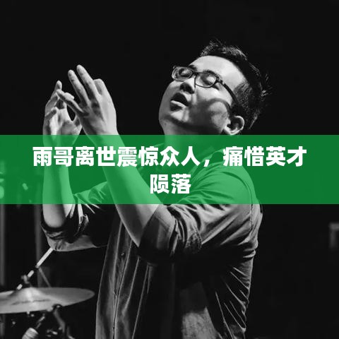 雨哥离世震惊众人，痛惜英才陨落
