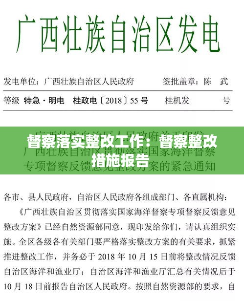 督察落实整改工作：督察整改措施报告 