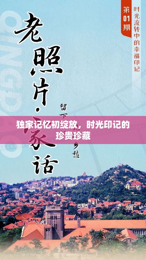 独家记忆初绽放，时光印记的珍贵珍藏