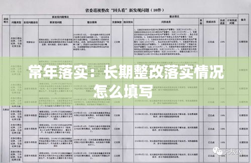 常年落实：长期整改落实情况怎么填写 