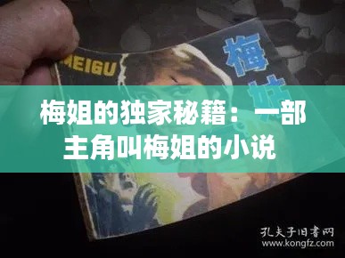 梅姐的独家秘籍：一部主角叫梅姐的小说 