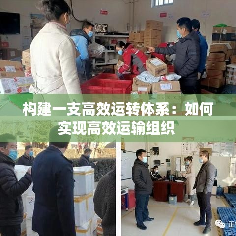 构建一支高效运转体系：如何实现高效运输组织 