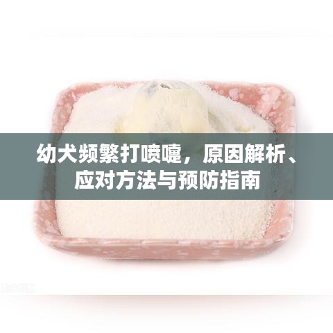 幼犬频繁打喷嚏，原因解析、应对方法与预防指南