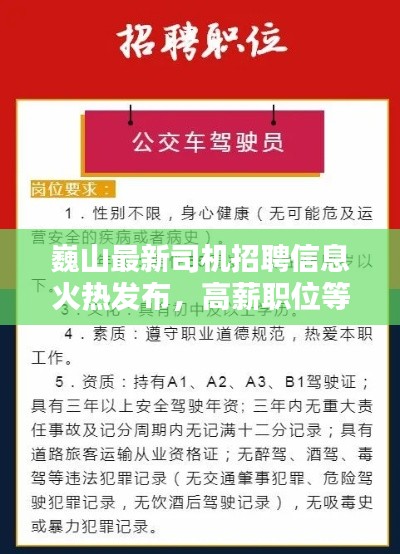 巍山最新司机招聘信息火热发布，高薪职位等你来驾！