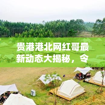 贵港港北网红哥最新动态大揭秘，令人震惊的消息！
