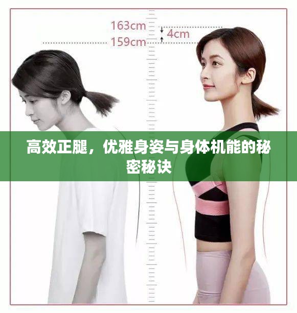 高效正腿，优雅身姿与身体机能的秘密秘诀