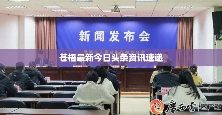 苍梧最新今日头条资讯速递