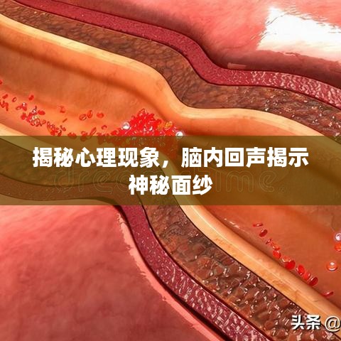 揭秘心理现象，脑内回声揭示神秘面纱