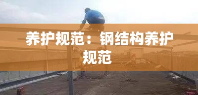 养护规范：钢结构养护规范 