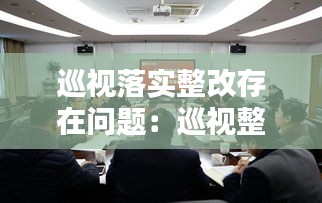 巡视落实整改存在问题：巡视整改落实方面存在不足 
