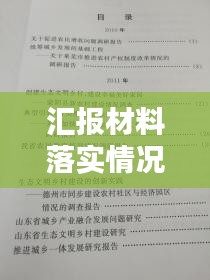 汇报材料落实情况：汇报材料存在的问题 