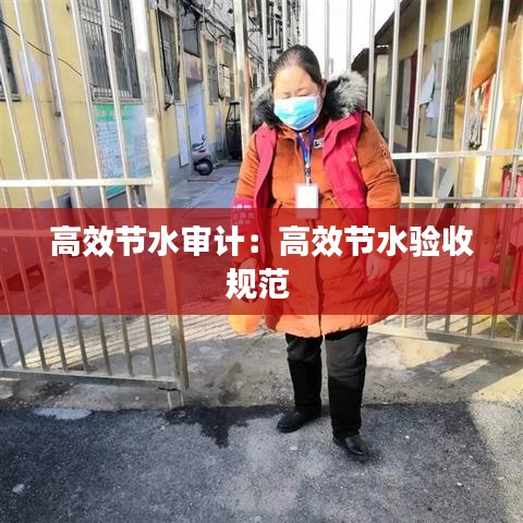 高效节水审计：高效节水验收规范 