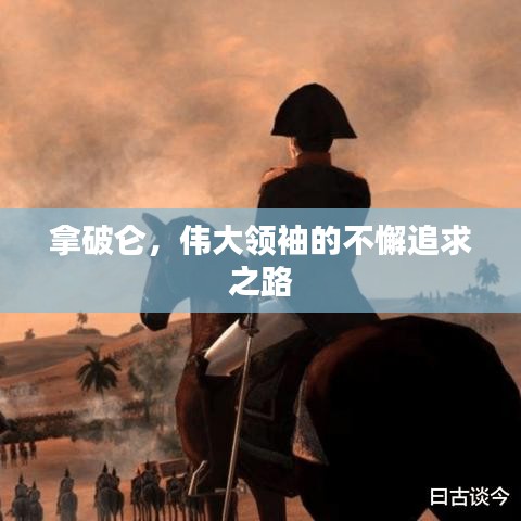 拿破仑，伟大领袖的不懈追求之路
