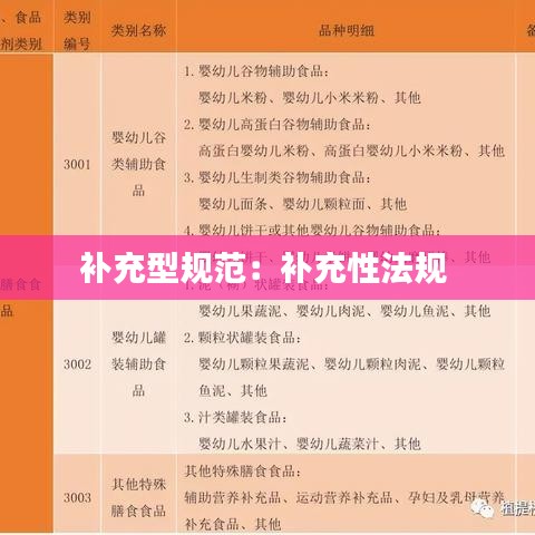 补充型规范：补充性法规 