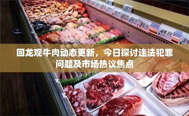 回龙观牛肉动态更新，今日探讨违法犯罪问题及市场热议焦点