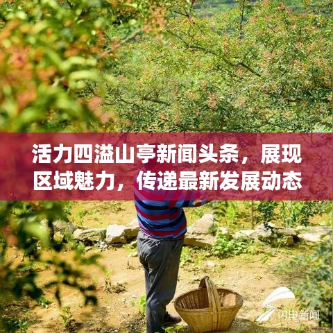 活力四溢山亭新闻头条，展现区域魅力，传递最新发展动态
