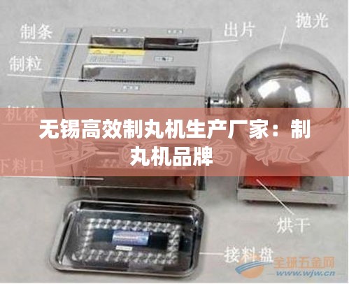 无锡高效制丸机生产厂家：制丸机品牌 