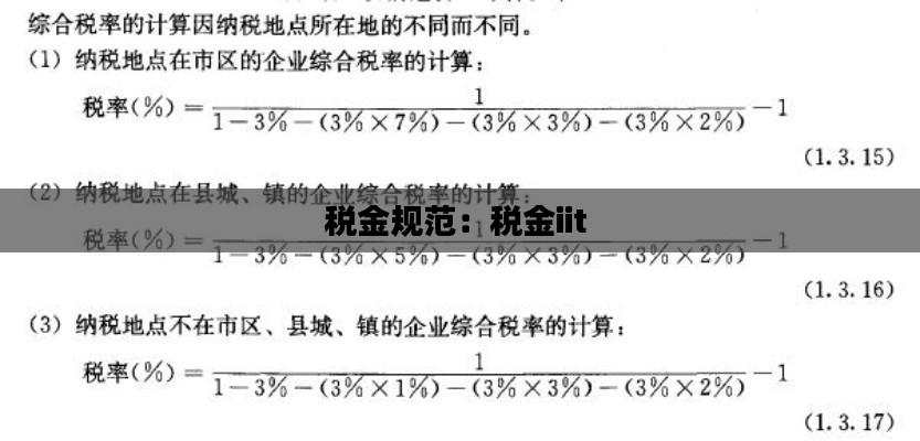 税金规范：税金iit 