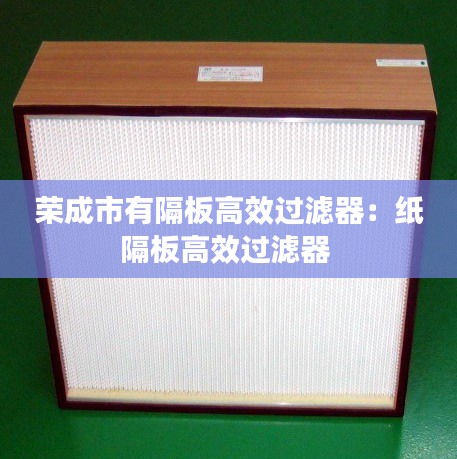 荣成市有隔板高效过滤器：纸隔板高效过滤器 