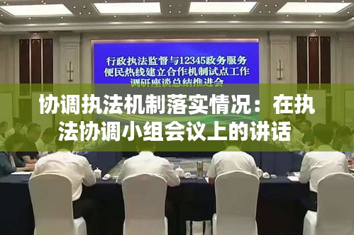 协调执法机制落实情况：在执法协调小组会议上的讲话 