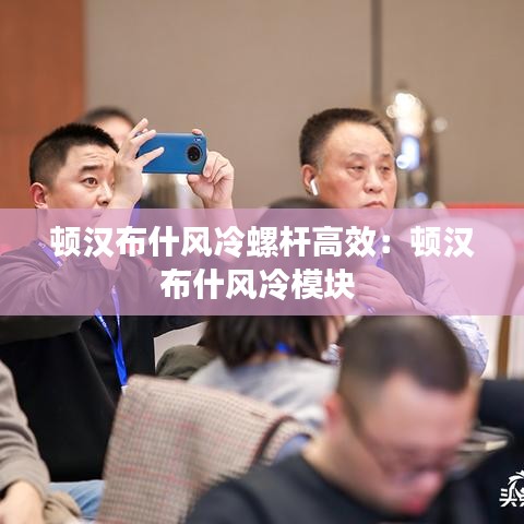 顿汉布什风冷螺杆高效：顿汉布什风冷模块 