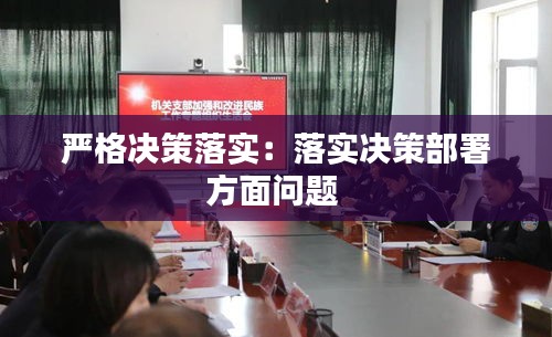 严格决策落实：落实决策部署方面问题 