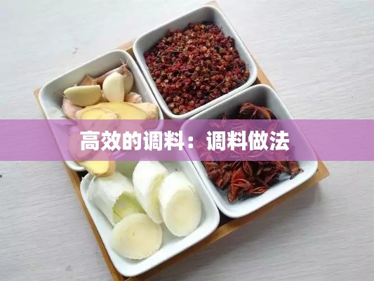 高效的调料：调料做法 