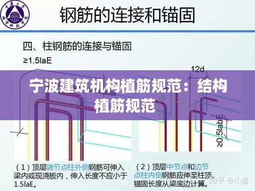 宁波建筑机构植筋规范：结构植筋规范 