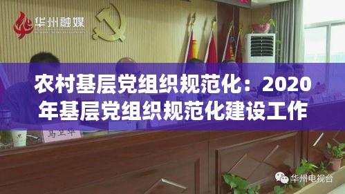 农村基层党组织规范化：2020年基层党组织规范化建设工作计划 