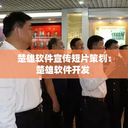 楚雄软件宣传短片策划：楚雄软件开发 