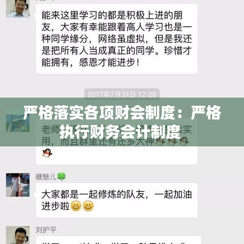 严格落实各项财会制度：严格执行财务会计制度 
