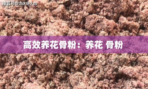 高效养花骨粉：养花 骨粉 