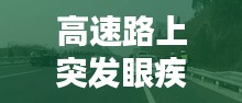 高速路上突发眼疾：高速眼睛累 