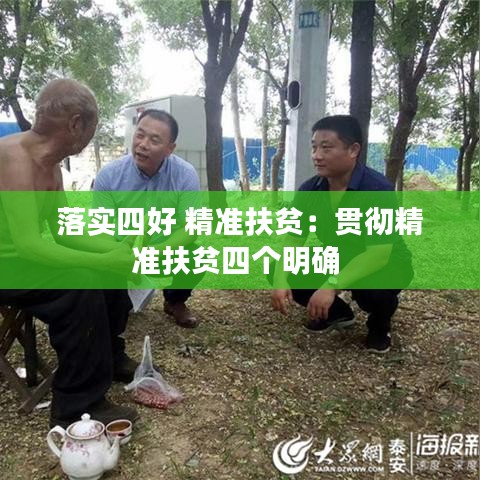 落实四好 精准扶贫：贯彻精准扶贫四个明确 