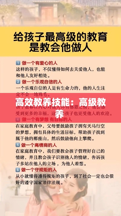 高效教养技能：高级教养 