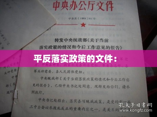 平反落实政策的文件： 